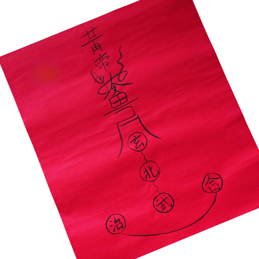 Zhuyu Black Tortoise Light Array | Taoist Water Energy Harmonizer