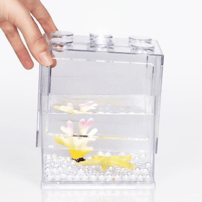 Stackable Mini Fish Tank | Desktop Aquarium 桌面叠搭小鱼缸 - FORTUNEWARD