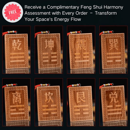 Taomu (Peach Wood) Bagua Palace Plaque - Feng Shui Adjustment & House Harmony - FORTUNEWARD